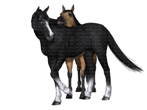 Kaz_Creations Horses - PNG gratuit