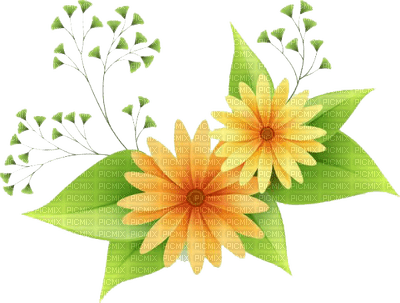 flower vector - zadarmo png