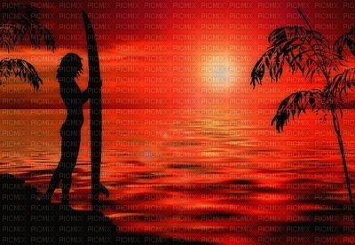 sunset, auringonlasku - PNG gratuit