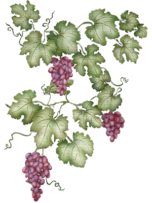 grapes bp - Ingyenes animált GIF