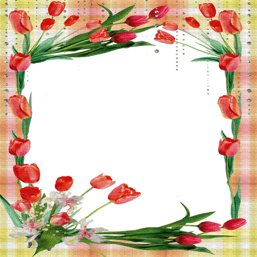 flowers frame by nataliplus - darmowe png