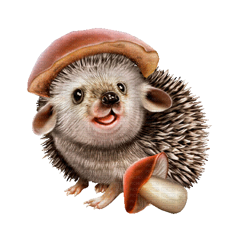 hedgehog by nataliplus - Animovaný GIF zadarmo