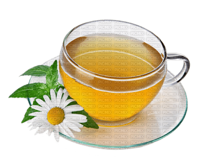 Kaz_Creations  Cup Saucer  Coffee Tea Deco - png gratis