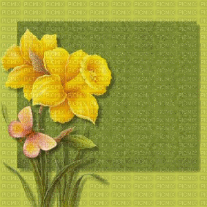fond floral  bp - GIF animado grátis