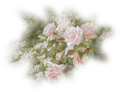 flowers anastasia - zadarmo png