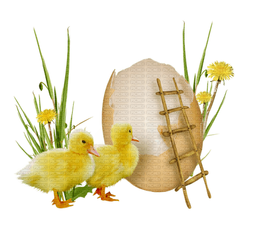 Easter/dekoration - nemokama png