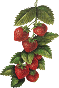 strawberries Bb2 - png ฟรี