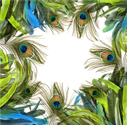 Peacock feather frame - bezmaksas png