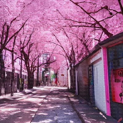 Sakura Alleyway - gratis png