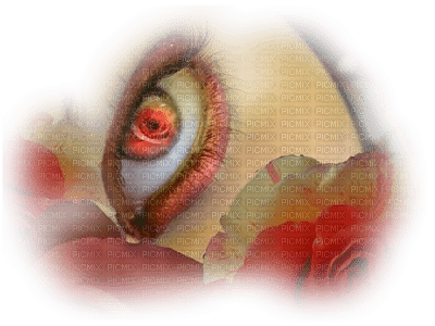 Kaz_Creations Woman Femme Eye - PNG gratuit