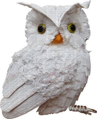 Kaz_Creations Christmas Deco Owl Bird - безплатен png