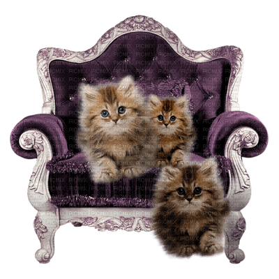 Kaz_Creations Cats Cat Kittens Kitten - bezmaksas png