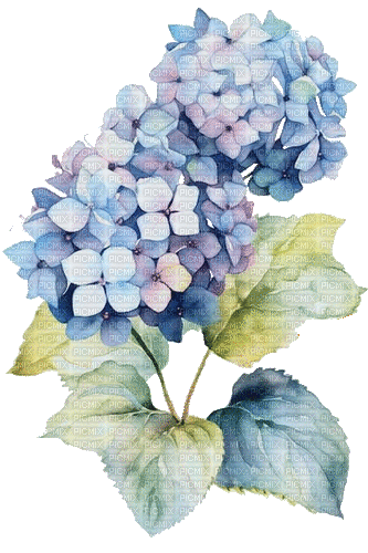 blue flowers - GIF animé gratuit