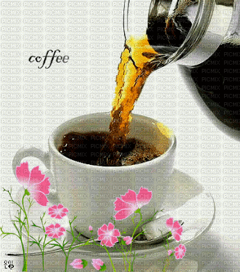 coffee - Zdarma animovaný GIF