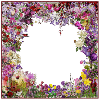Floral Frame - bezmaksas png