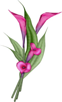 fleur - безплатен png