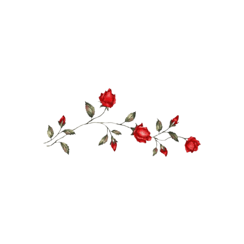 branche de roses - darmowe png
