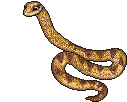 snake - GIF animado grátis