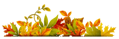 Kaz_Creations Autumn Fall Leaves Leafs - png gratis