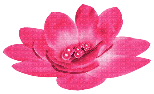 Flower.Pearls.Pink - darmowe png