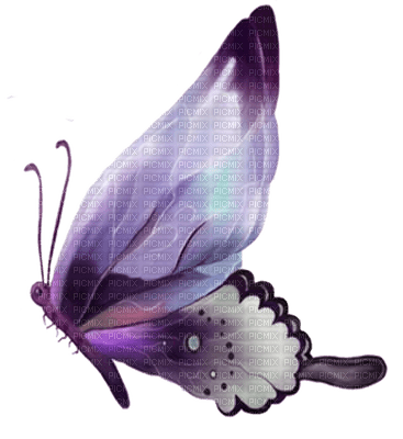 Butterfly- pages -2 - 免费PNG