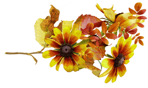 Fleurs.Flowers.Autumn.Automne.Victoriabea - PNG gratuit