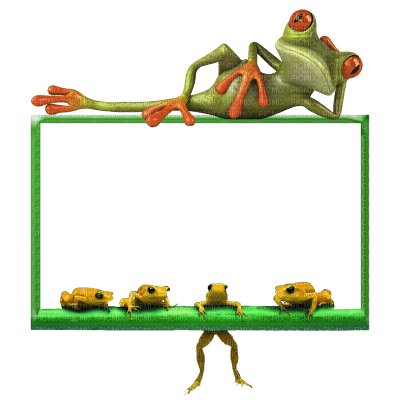 frog frame - nemokama png