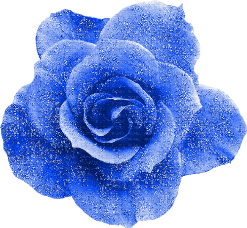 Glitter.Rose.Blue - darmowe png