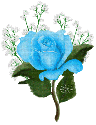 kék rózsa - Animovaný GIF zadarmo