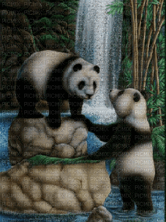 panda - Bezmaksas animēts GIF