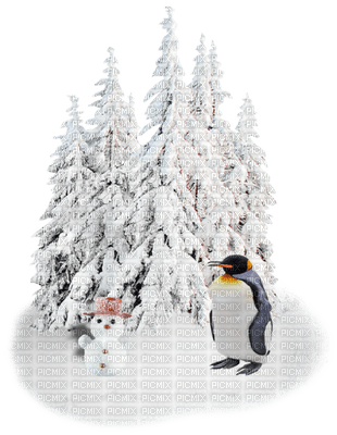 chantalmi  hiver winter neige snow noël  déco pingouin - PNG gratuit