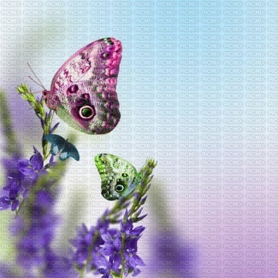 butterfly papillon insect garden jardin flower fleur fleurs blossom spring printemps fond background image paysage landscape - фрее пнг