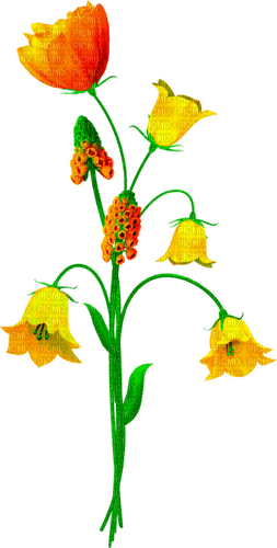Flowers.Orange.Yellow - nemokama png