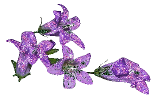 purple flowers - Безплатен анимиран GIF