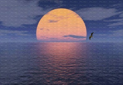 sunset - PNG gratuit