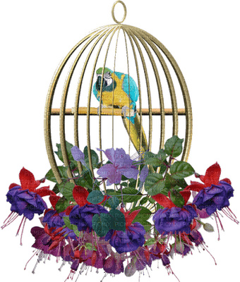 birdcage bp - png gratuito