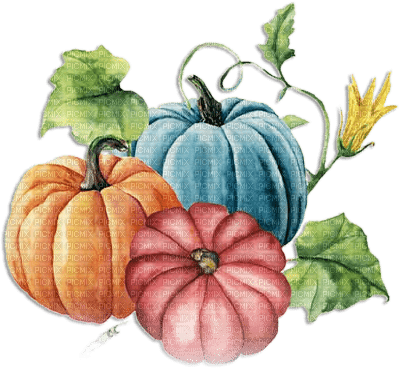 soave deco autumn thanksgiving vintage pumpkin - gratis png