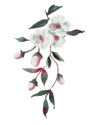 soave deco animated branch spring flowers pink - Bezmaksas animēts GIF