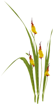 Planta de otoño - PNG gratuit
