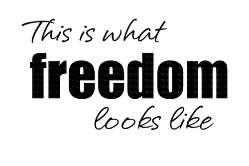 Freedom.Text.Phrase.Quotes.Victoriabea - zdarma png
