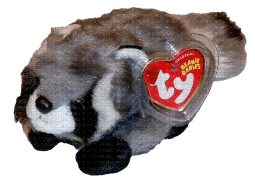 snoops the raccoon - 免费PNG