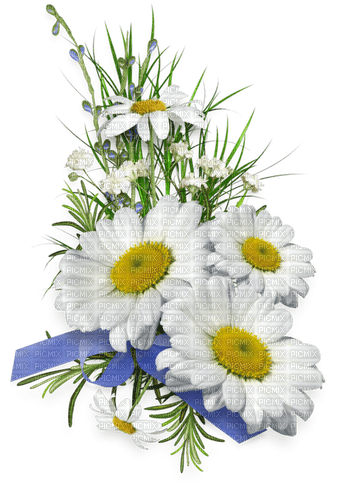 blommor-vita----flowers-white - zdarma png
