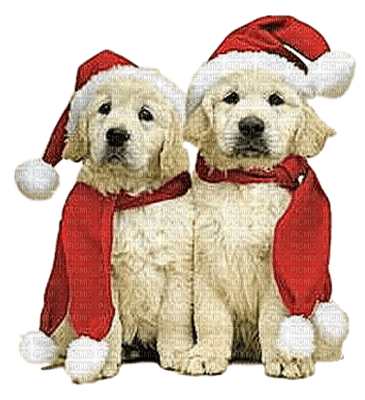 Noël.Christmas Dog.Chien.Navidad.Perro.Santa Claus.Victoriabea - Free PNG