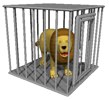 Lion in cage - 免费动画 GIF