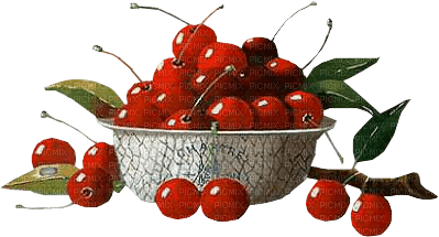 fruit cherries bp - png ฟรี