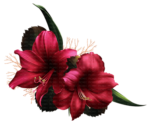 fleurs - png grátis