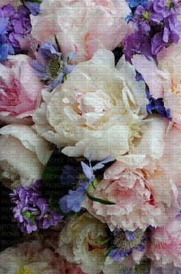 FLOWERS - 無料png