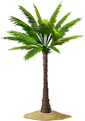 Palmtree - 免费PNG