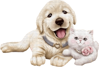 Kaz_Creations  Dogs Dog Pup Cat Kitten - darmowe png