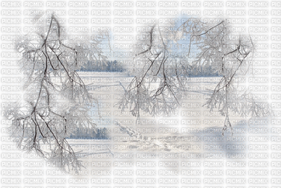 Winter Backgrounds - GIF animé gratuit